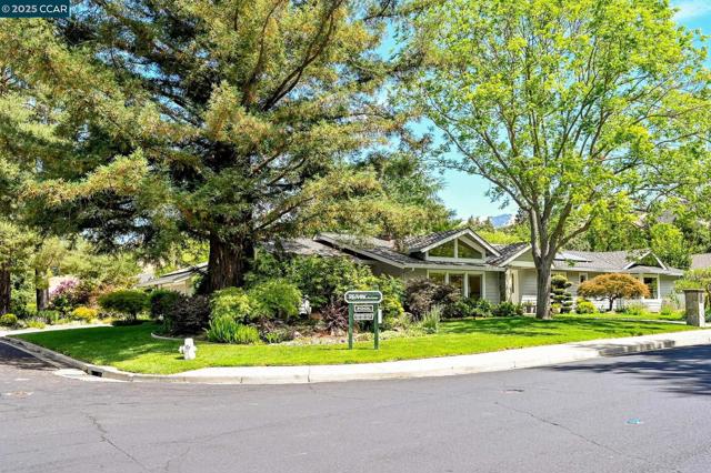 1023 White Gate Rd, Alamo CA: https://media.crmls.org/mediaz/510ebe1c-b71d-4ae9-969f-fa577ed7e8d4.jpg