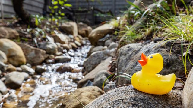 11 Hawk View, Portola Valley CA: https://media.crmls.org/mediaz/510f7638-78d1-4fcb-bcda-6dd47d514872.jpg