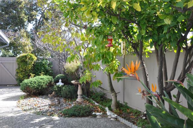 1040 Pizarro Lane, Foster City CA: https://media.crmls.org/mediaz/5113b830-e2ea-4b5e-a7c1-73c676925480.jpg