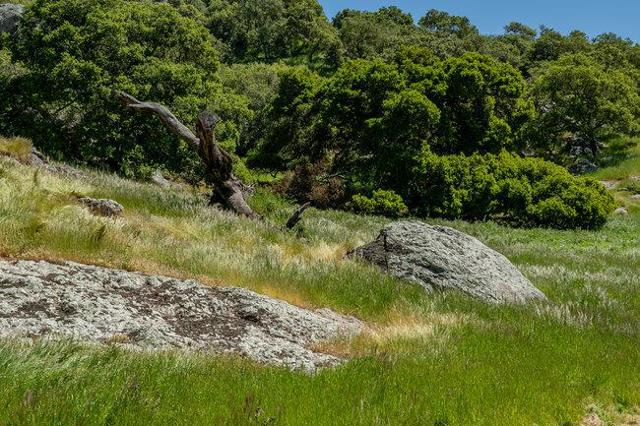 100 Old Stage Rd, San Juan Bautista CA: https://media.crmls.org/mediaz/5121cb4a-f3a4-415a-b68f-ca881248bf06.jpg