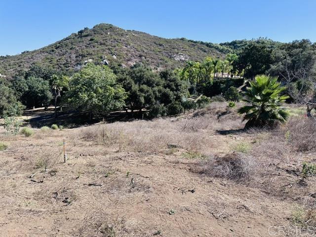 30409 Disney Lane, Vista, California 92084, ,Land,For Sale,30409 Disney Lane,CRNDP2409423