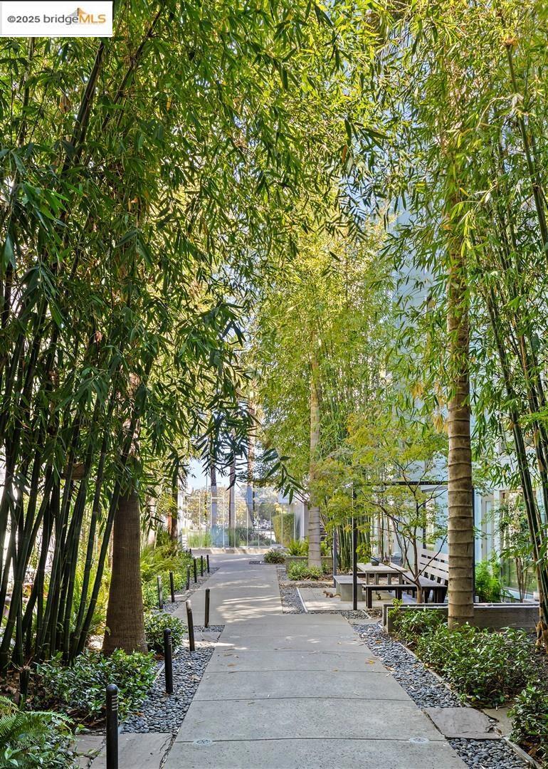 MLS #41106442 image #16