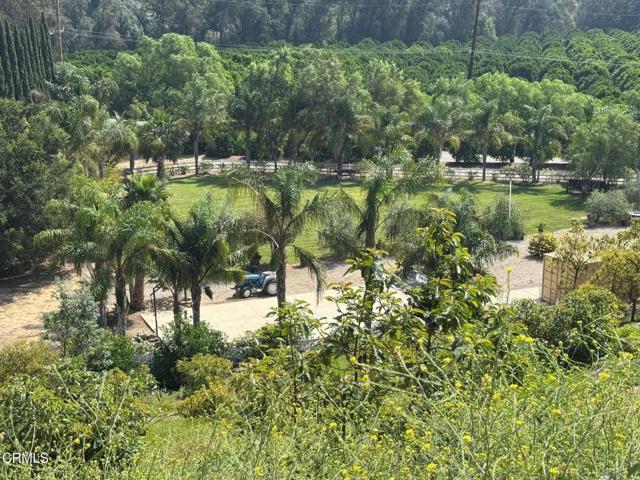 Detail Gallery Image 33 of 39 For 7907 Balcom Canyon Rd, Somis,  CA 93066 - – Beds | – Baths