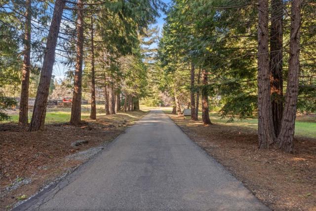 15 Braemoor Drive, Santa Cruz CA: https://media.crmls.org/mediaz/513244e4-6269-416f-98be-807aafcdb29e.jpg