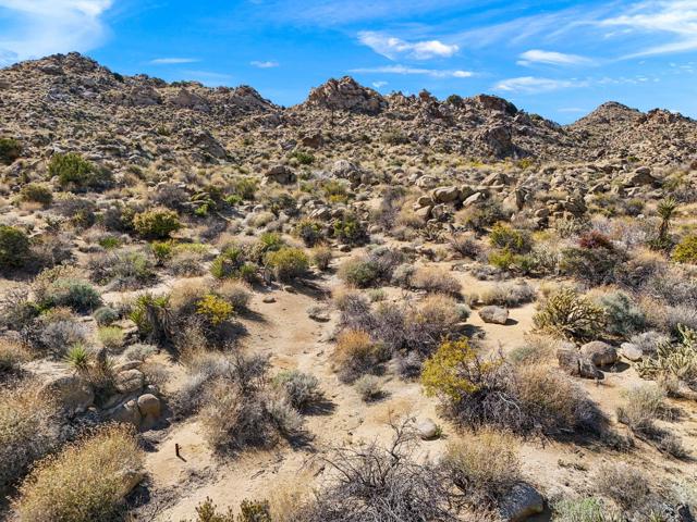 0 Avenida Los Feliz, Mountain Center CA: https://media.crmls.org/mediaz/51334673-c966-4326-89e6-8349d6b03aa7.jpg