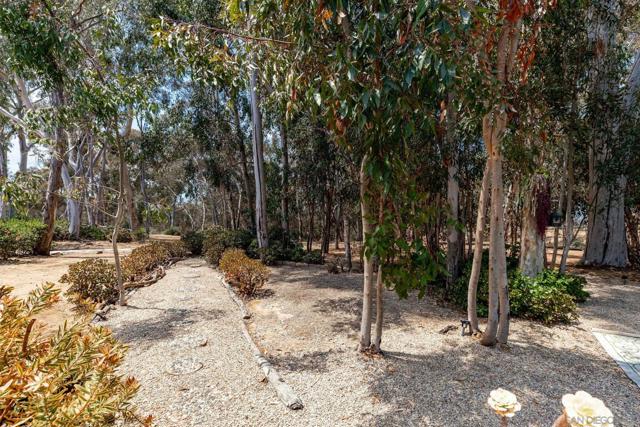 2708 Grove Ave, Carlsbad CA: https://media.crmls.org/mediaz/513637bc-2767-44bf-be27-4336538c212f.jpg
