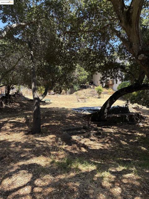 5415 Leona Street, Oakland CA: https://media.crmls.org/mediaz/514297ca-b390-4393-84f9-340ac644547e.jpg