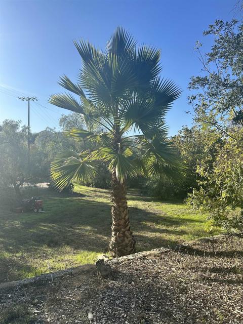 Detail Gallery Image 22 of 23 For 2758 Kauana Loa, Escondido,  CA 92029 - 4 Beds | 3 Baths