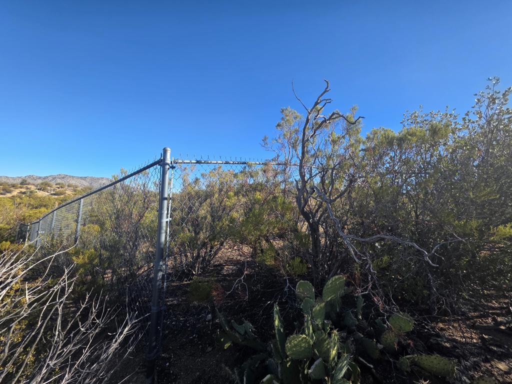 MLS #219138845DA image #7