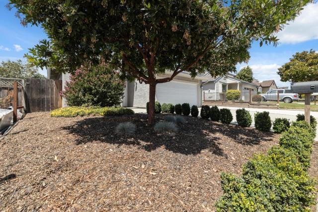 419 Rico Street, Salinas CA: https://media.crmls.org/mediaz/514f382c-8f8b-4733-bb54-ca3d5bf5756e.jpg