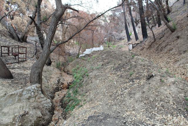 Detail Gallery Image 25 of 27 For 31029 Hasley Canyon Rd, Castaic,  CA 91384 - – Beds | – Baths