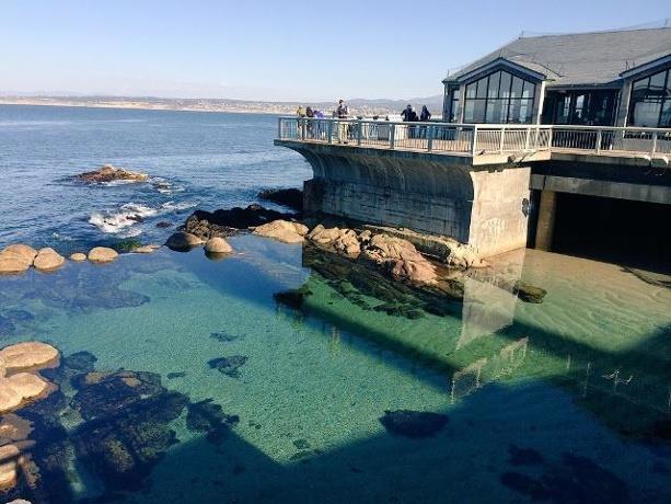 621 Mcclellan Avenue, Monterey CA: https://media.crmls.org/mediaz/51597914-7842-4c51-a81f-830be9d96495.jpg