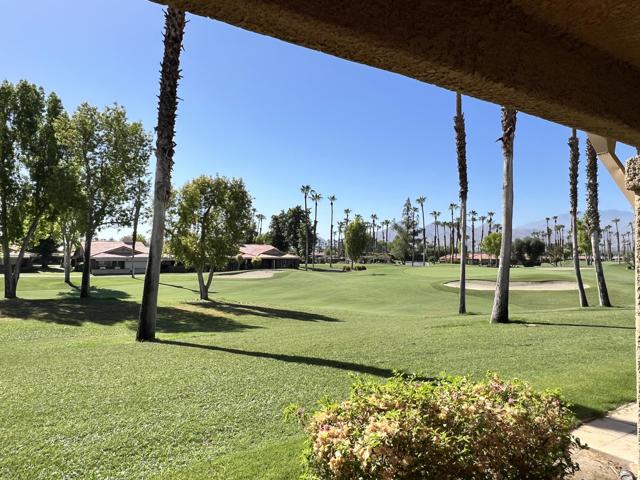 55 Camisa Lane, Palm Desert CA: https://media.crmls.org/mediaz/515b55e7-9303-4979-9bf9-3ef4e10e67f8.jpg