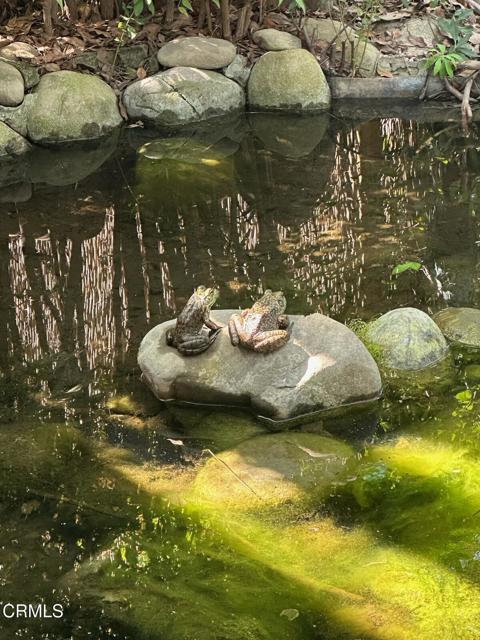 Detail Gallery Image 29 of 62 For 813 Santa Ana Bld, Oak View,  CA 93022 - 3 Beds | 2 Baths