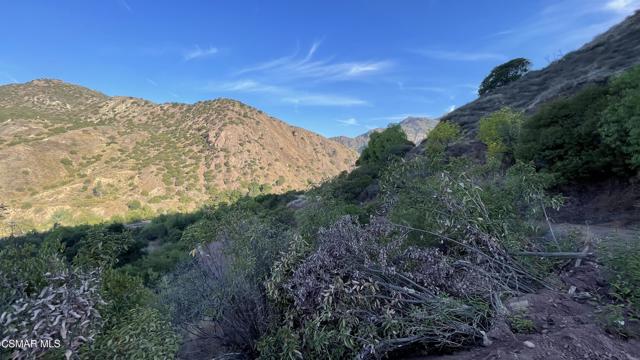sespe canyon