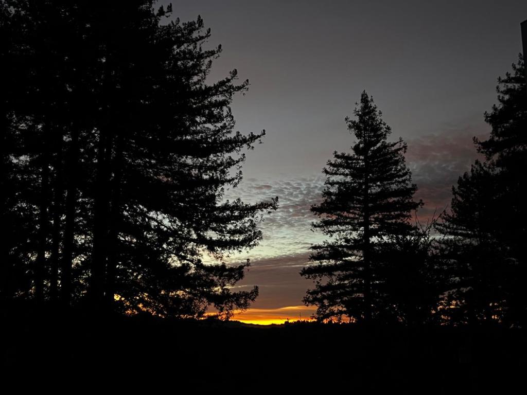 https://media.crmls.org/mediaz/517774af-2a4b-4911-81d5-abc0307519d2.jpg?preset=X-Large