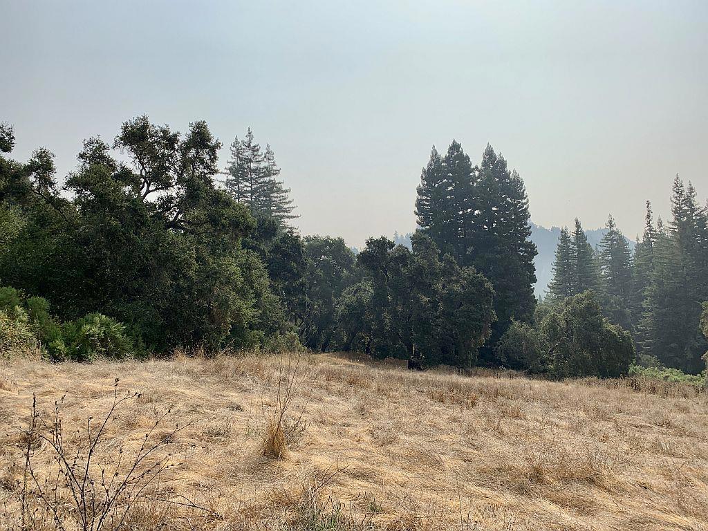 MLS #ML81810757 image #45