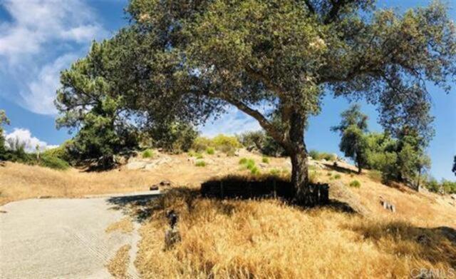 8079 Pine Ct, Pine Valley, California 91962, ,Land,For Sale,8079 Pine Ct,CRPTP2400183