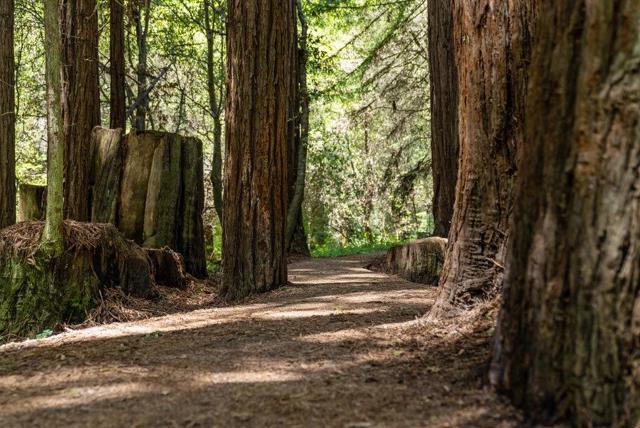 500 Valencia School Road, Aptos CA: https://media.crmls.org/mediaz/51b15a1f-2675-45b9-9f99-e667e0df0a7c.jpg