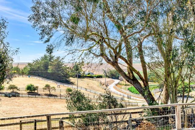 501 Trail Drive, Moss Landing CA: https://media.crmls.org/mediaz/51b1abc8-63d0-4da3-8c1d-4d7a1c04fbdf.jpg