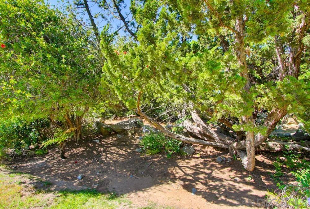 12858 Stone Canyon - photo 8