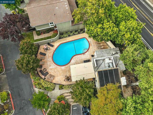 218 Jewel Ter, Danville CA: https://media.crmls.org/mediaz/51c74c0c-f2a7-48d4-89b6-e4be0ad8dc1e.jpg