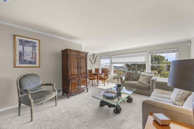 2461 Trenton Dr, San Bruno CA: https://media.crmls.org/mediaz/51d077fd-6f49-4065-99dd-5cb4ae9d255a.jpg