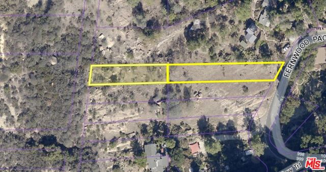 919 Fernwood photo 9