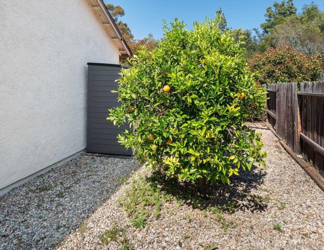 18197 Valladares Drive, San Diego CA: https://media.crmls.org/mediaz/51ebad5e-b343-42d8-860d-936069d4fb80.jpg