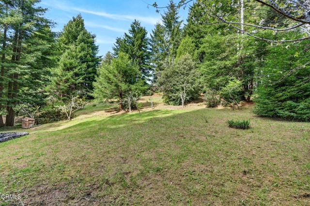 Detail Gallery Image 37 of 37 For 2900 Cameron Rd, Elk,  CA 95432 - 3 Beds | 2/1 Baths