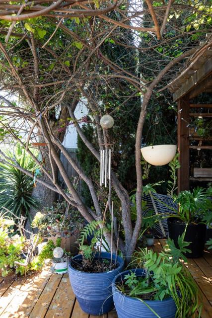 2336 Palo Verde Avenue, East Palo Alto CA: https://media.crmls.org/mediaz/51ee9e33-b3a2-41ce-83f3-1c0b6db4886c.jpg