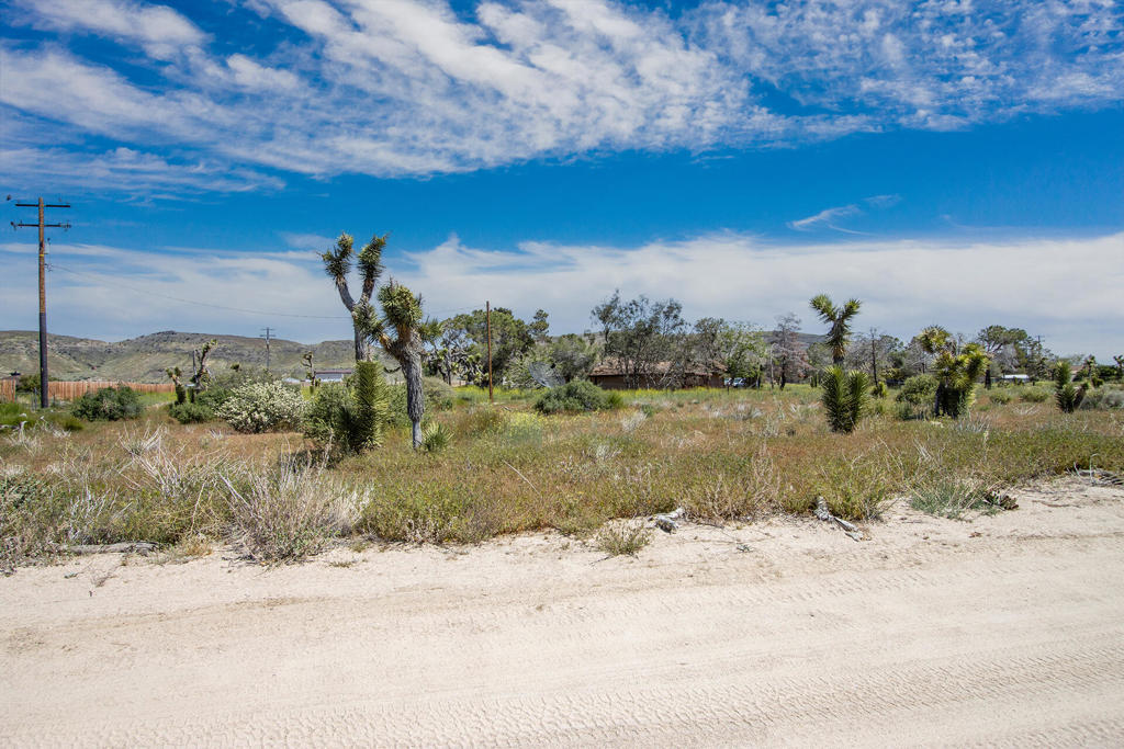 MLS #219139121PS image #6