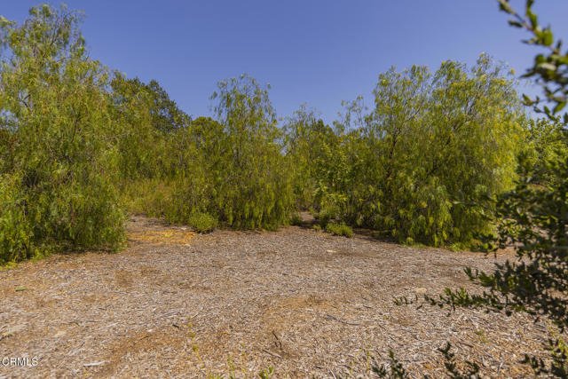 Detail Gallery Image 8 of 13 For 1 Henderson Rd, Ojai,  CA 93023 - – Beds | – Baths
