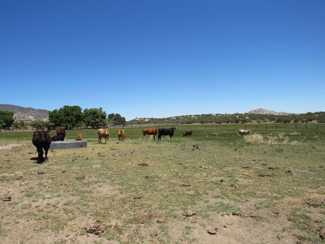 Detail Gallery Image 46 of 47 For 200 Acres Mccain Valley Rd, Boulevard,  CA 91905 - – Beds | – Baths