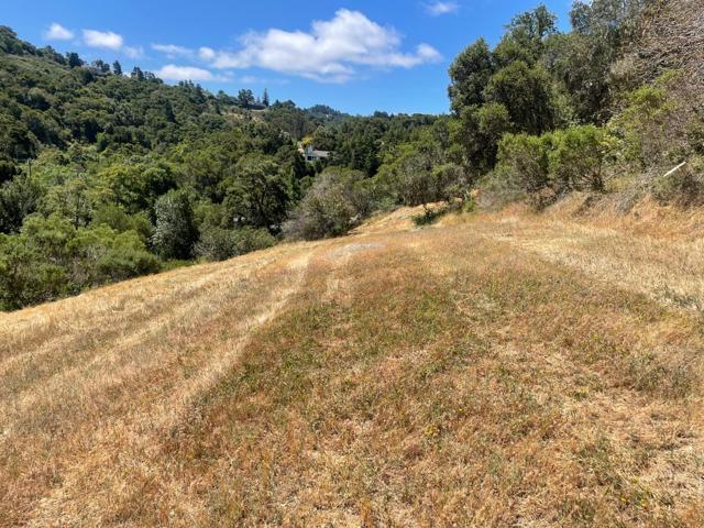 0 Tartan Trail Road, Hillsborough CA: https://media.crmls.org/mediaz/51faa05b-e1fd-409c-a35e-2cd21636a7e1.jpg
