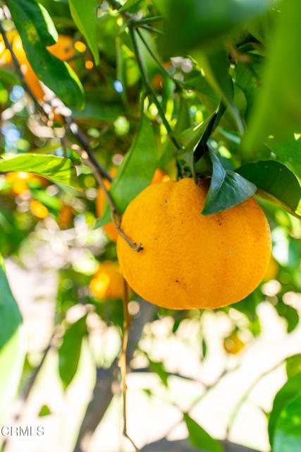 Detail Gallery Image 38 of 47 For 127 Glen Ellen Dr, Ventura,  CA 93003 - 3 Beds | 1 Baths