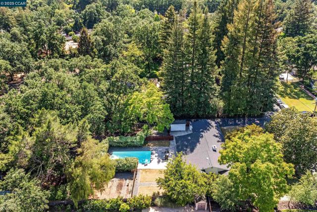 51 Bolla Ave, Alamo CA: https://media.crmls.org/mediaz/52063ce0-412a-4472-84d5-41700e45ed34.jpg