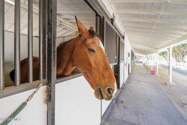 qEquestrian Center4