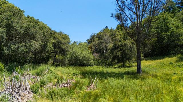 3554 Paul Sweet Road, Santa Cruz CA: https://media.crmls.org/mediaz/52188f20-db39-49a0-906d-b3481376f31d.jpg