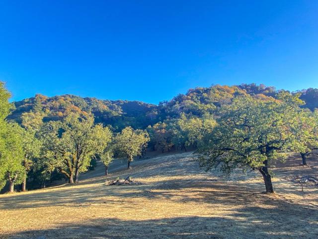 22 Arroyo Sequoia, Carmel CA: https://media.crmls.org/mediaz/521ad698-e775-4ce6-b5de-35e9827ead4f.jpg