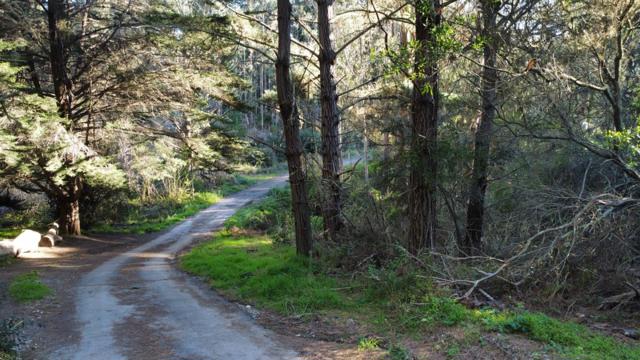 700 Cedar St., Montara CA: https://media.crmls.org/mediaz/521c94c7-4478-49f2-a915-922186379be1.jpg