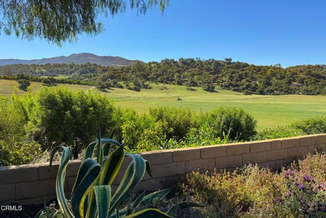 1920 Tiara Drive, Ojai CA: https://media.crmls.org/mediaz/522135a3-f718-4c90-bfbb-e6ecf3ec6e86.jpg