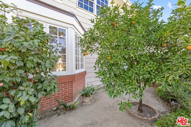 Drew Fenton | 2270 The Terrace Los Angeles CA | MLS: 7163298