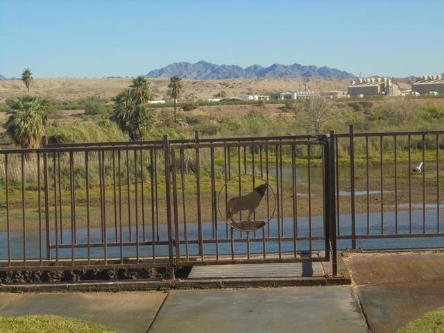 654 Riviera Dr., Blythe CA: https://media.crmls.org/mediaz/522ada6c-ea66-4625-984d-b2df2bf72700.jpg