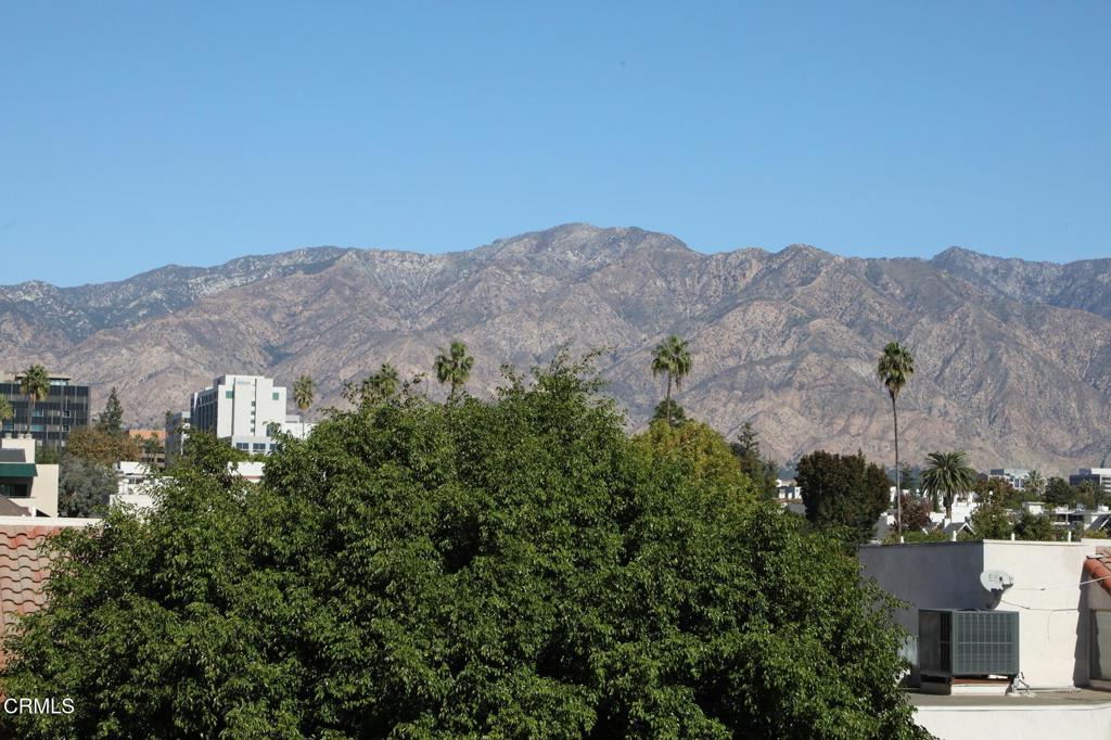 MLS #P1-24979 image #28