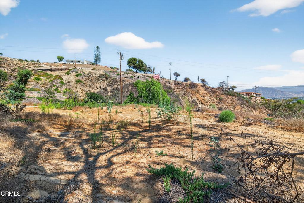 MLS #V1-32289 image #11