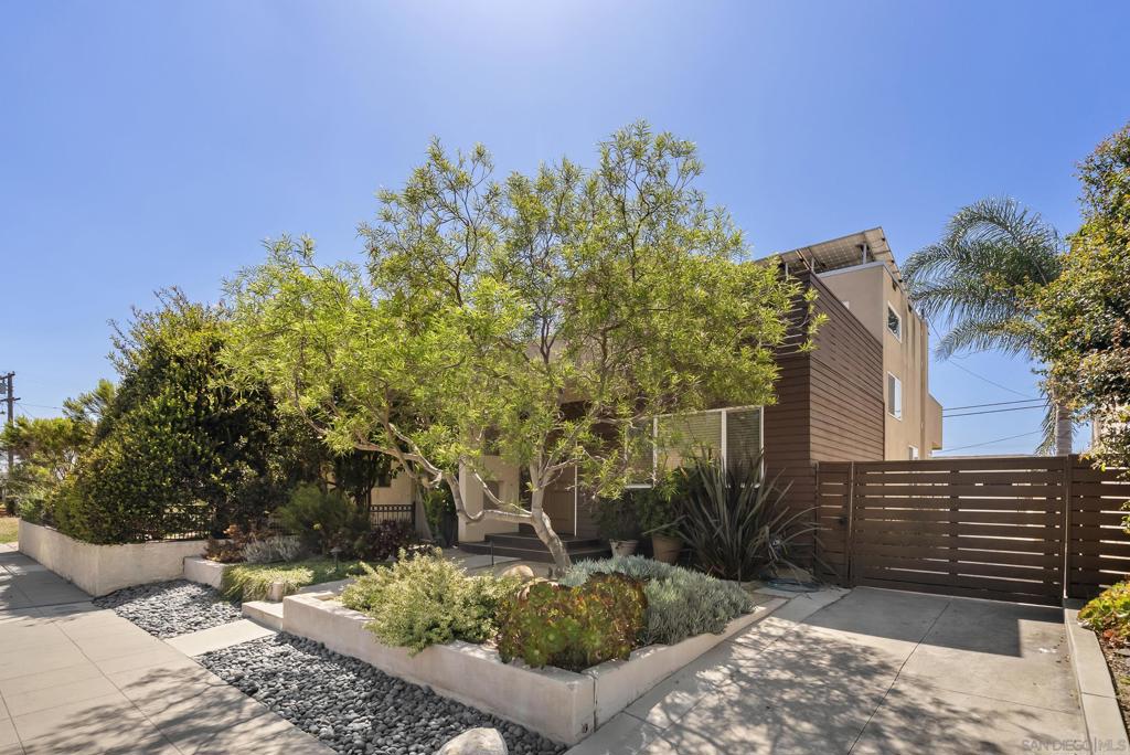 3437 Palm Street - photo 4