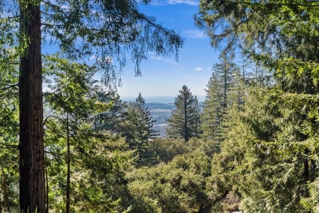 17 Bella Vista Lane, Gilroy CA: https://media.crmls.org/mediaz/524161d0-0a9b-490a-9373-db47ad29a319.jpg