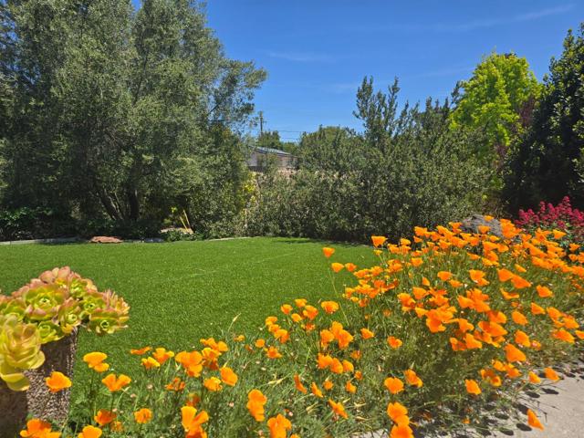 2 MESA DEL SOL,  CA: https://media.crmls.org/mediaz/524ec36a-f633-4992-a6b0-5b379597f7d0.jpg