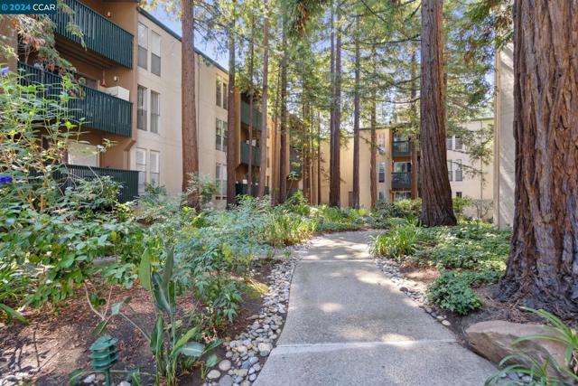 155 Sharene Ln, Walnut Creek, California 94596, 1 Bedroom Bedrooms, ,1 BathroomBathrooms,Condominium,For Sale,Sharene Ln,41072595